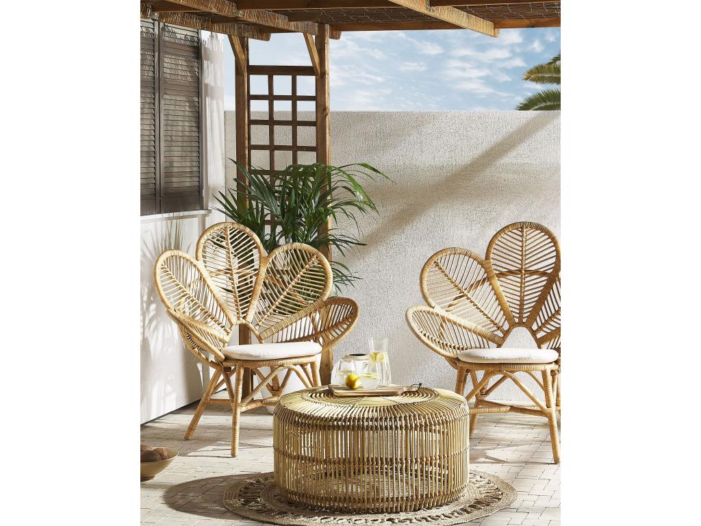 Lot de 2 chaises paon Boislis Rotin Naturel HLIP48654