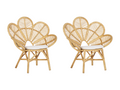 Lot de 2 chaises paon Boislis Rotin Naturel HLIP48654