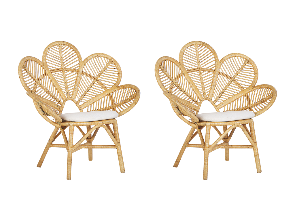 Lot de 2 chaises paon Boislis Rotin Naturel HLIP48654