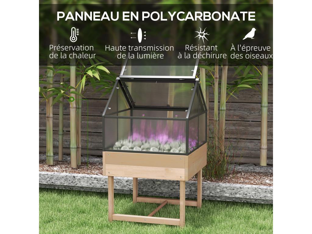 Mini serre sur pied double toit ouvrable acier sapin autoclave polycarbonate CUPB90108
