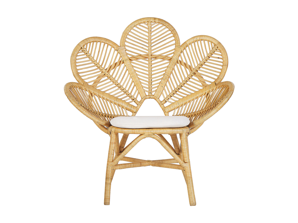 Lot de 2 chaises paon Boislis Rotin Naturel HLIP48654