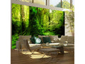Papier peint intissé Paysages Boislis 300x231 cm ATQF38510