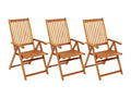 Chaises pliables de jardin 3 pièces avec coussins Bois d'Boislis WVFX91522